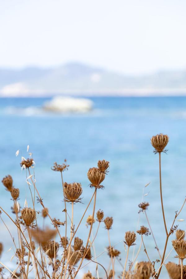 Baia Delle Ginestre Aparthotel 4*