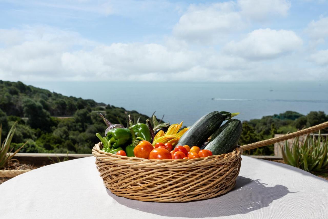 Aparthotel Baia Delle Ginestre