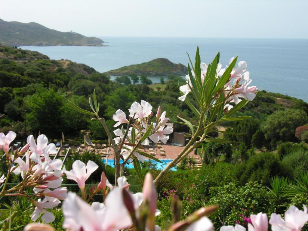 Aparthotel Baia Delle Ginestre