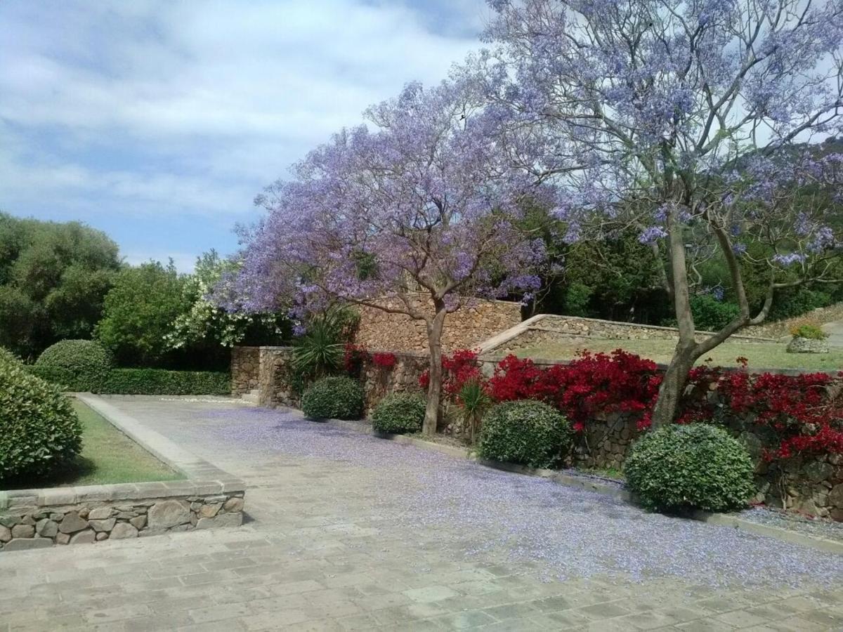 Baia Delle Ginestre Aparthotel