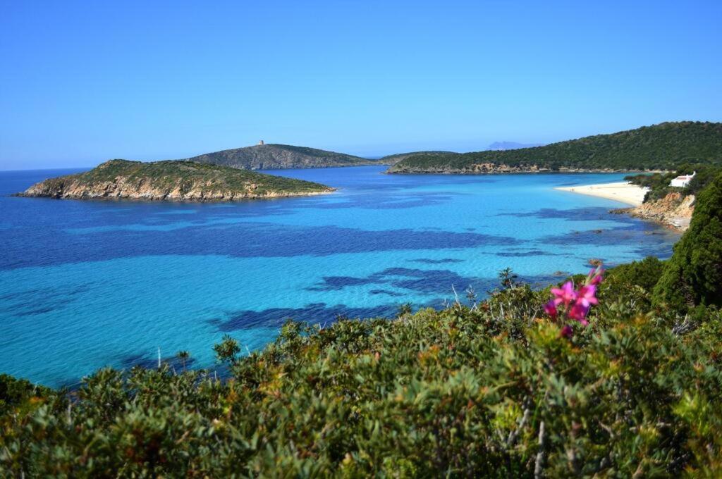 Apartahotel Eco Village Baia Delle Ginestre